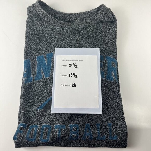 Carolina Panthers NFL team apparel t-shirt Size L Grey - Picture 3 of 5